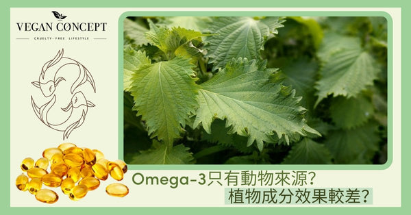 Omega-3只有動物來源？植物成分效果較差？