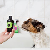 SHOO Natural Dog Shampoo (Organic Wild-Orange) expired on 03/19 - Vegan Concept