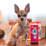 SHOO Natural Dog Shampoo (Natural Organic Regular) expired on 03/19 - Vegan Concept