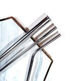 Premium Grade 316 Stainless Steel Straw Set - Vegan Concept