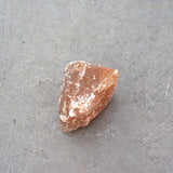 TASTE - Rivsalt | Vegan Concept Hong Kong