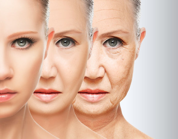 Slow Down the Clock on Aging Skin