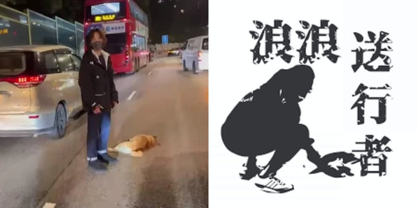 <b>Alton@Mirror體驗「浪浪送行者」義工親手執流浪動物屍體獲讚 街遇往生流浪動物如何為浪浪善終？</b>