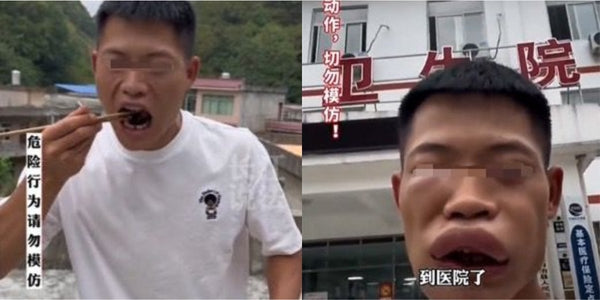 <b>【流量為王】網紅為吸睛不惜虐待動物 動保調查揭虐待動物片勁賺9千萬</b>