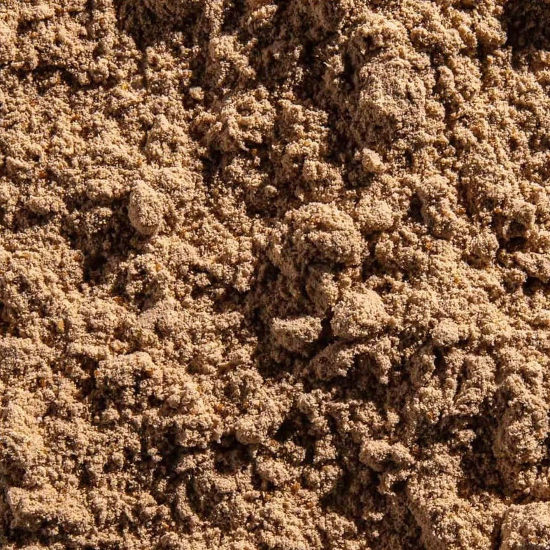 Vegan Performance Plant Protein Powder - Chocolate ~684g